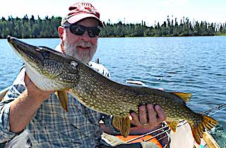 Ron with Another Good Northern Pike Catch Fishing at Fireside Lodge in Canada